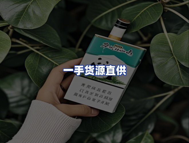 专业团队